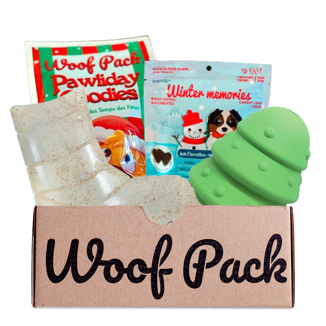Woof Pack Durable Holiday Dog Box