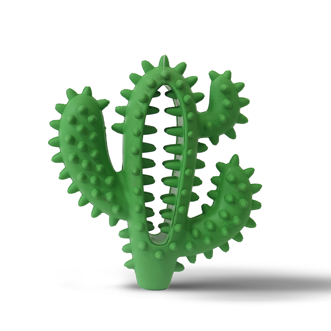 Woof Plays - Rubber Cactus