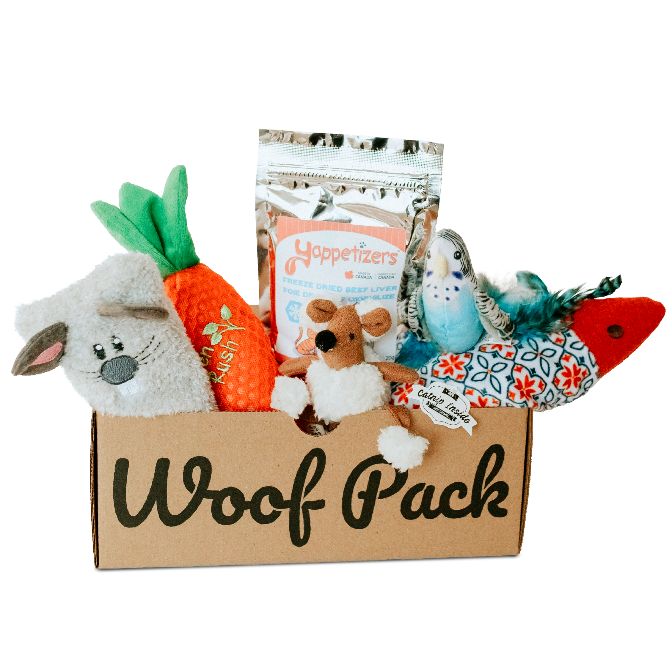 Cat Box