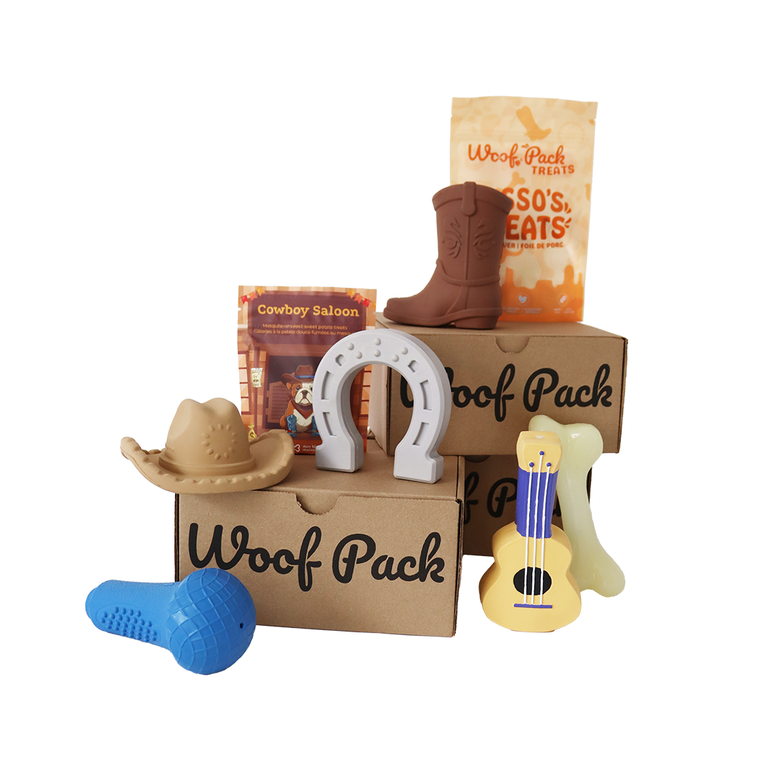 Free Durable Extra Toys & Shipping