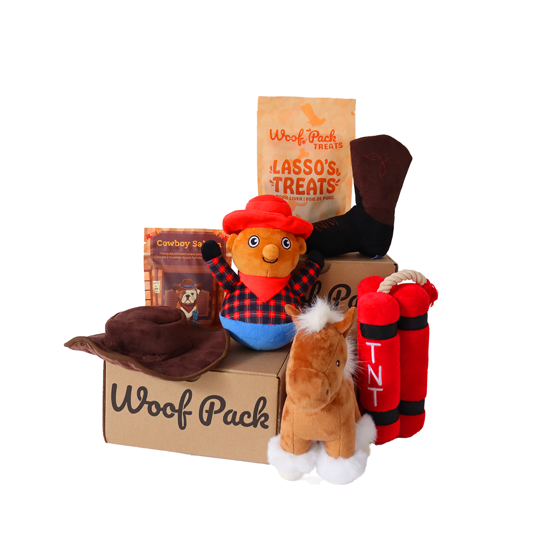 Free Extra Toys & Shipping