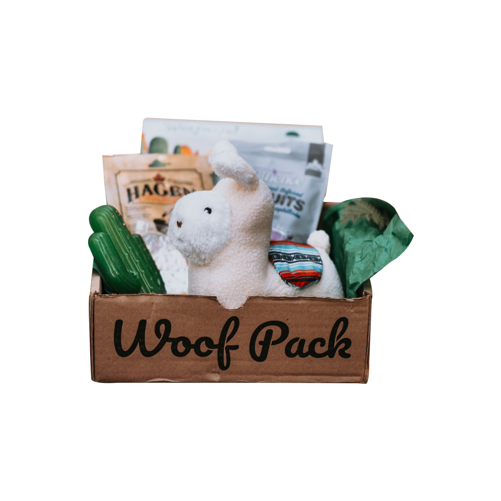 Woof Pack Dog Toys & Treats Box