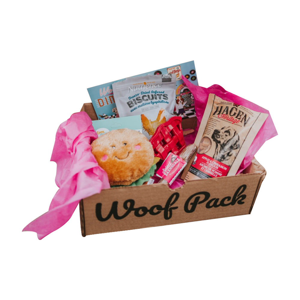 Woof Pack Dog Toys & Treats Box