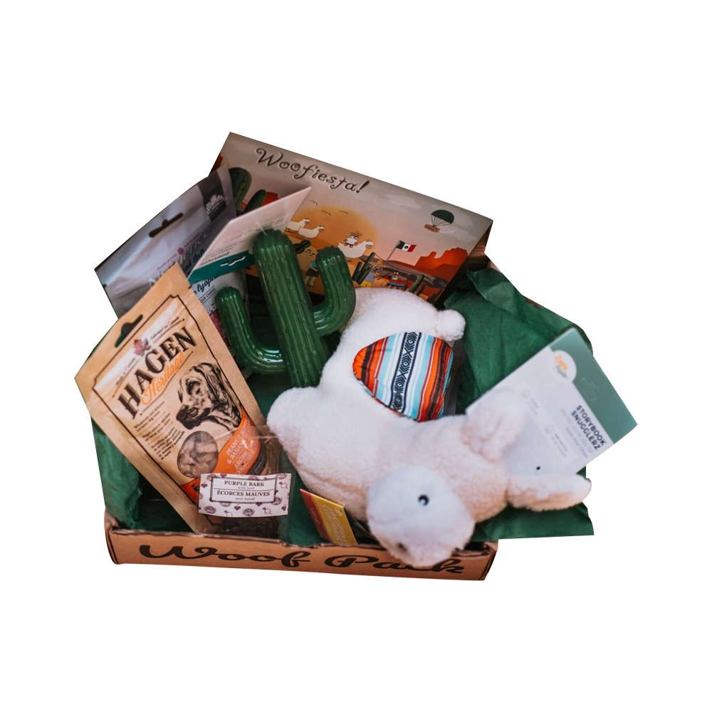 Woof Pack Dog Toys & Treats Box