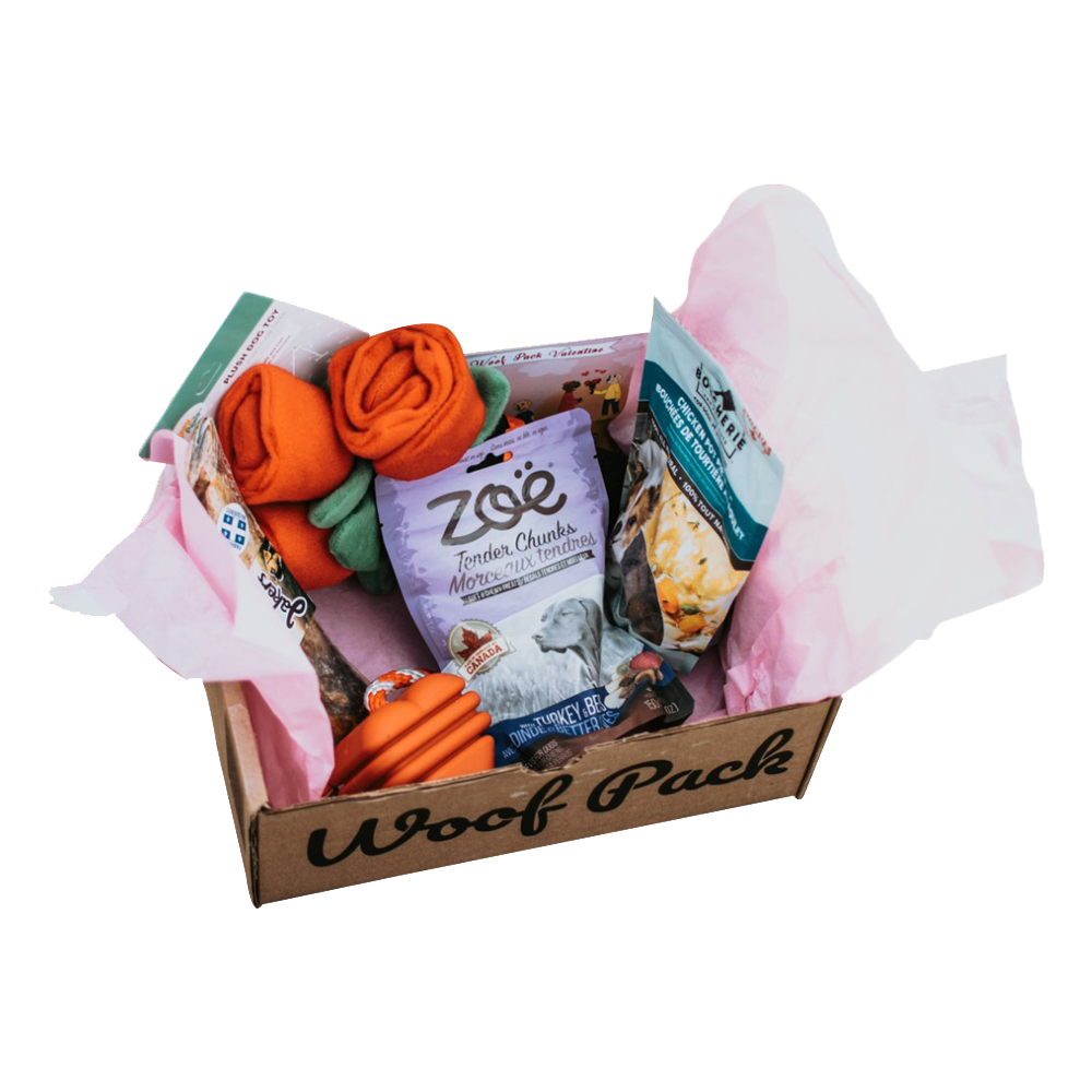 Woof Pack Dog Toys & Treats Box
