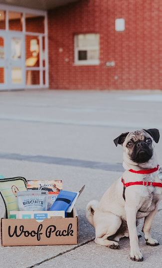 Woof Pack Back to School